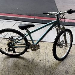 Raleigh EV24 100$ OBO