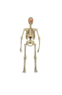 Halloween Decorations