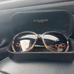 Coach Sun Glasses 