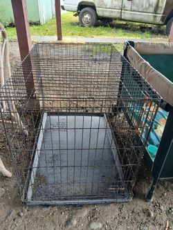 Xl Dog Kennel