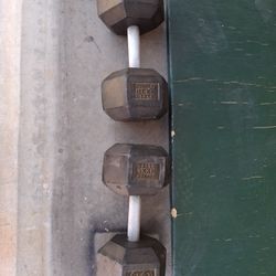 80lb Dumbbells