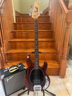 Sterling By Musicman Bass w/ Fender Rumble 15 Bass Amp (Brand New)