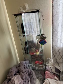 Tall Glass Display Cabinet