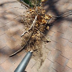 Gutter Cleaning 