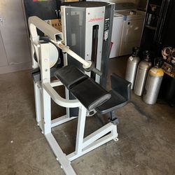 Life Fitness Tricepe Extension Commercial Gym Equipment Great Working Condition