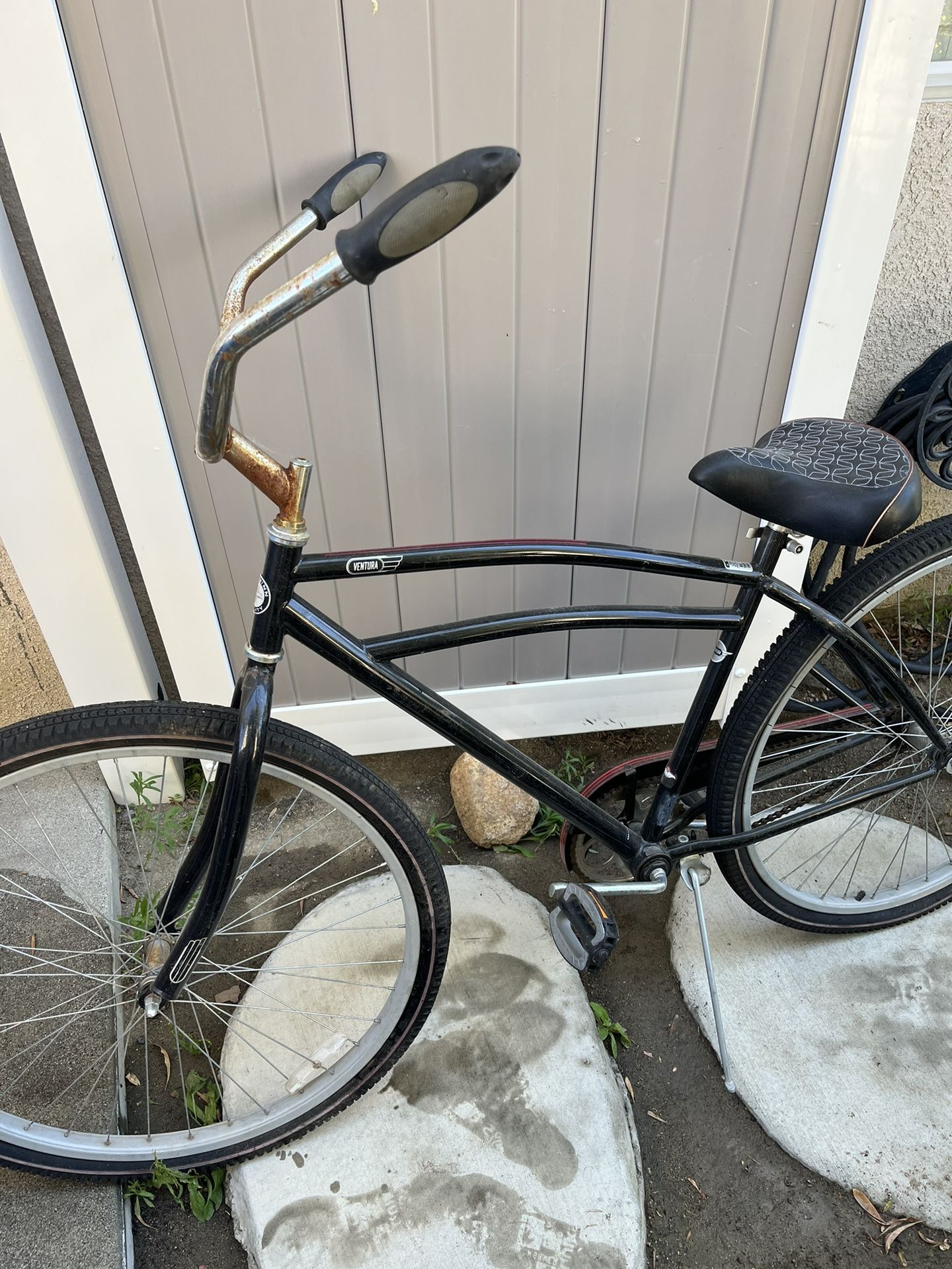 Beach Cruiser