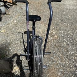 Schwinn Airdyne Exercise Bike