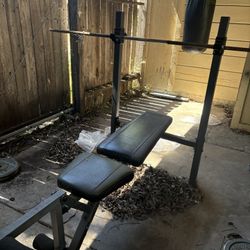 Bench Press