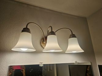 Vanity light