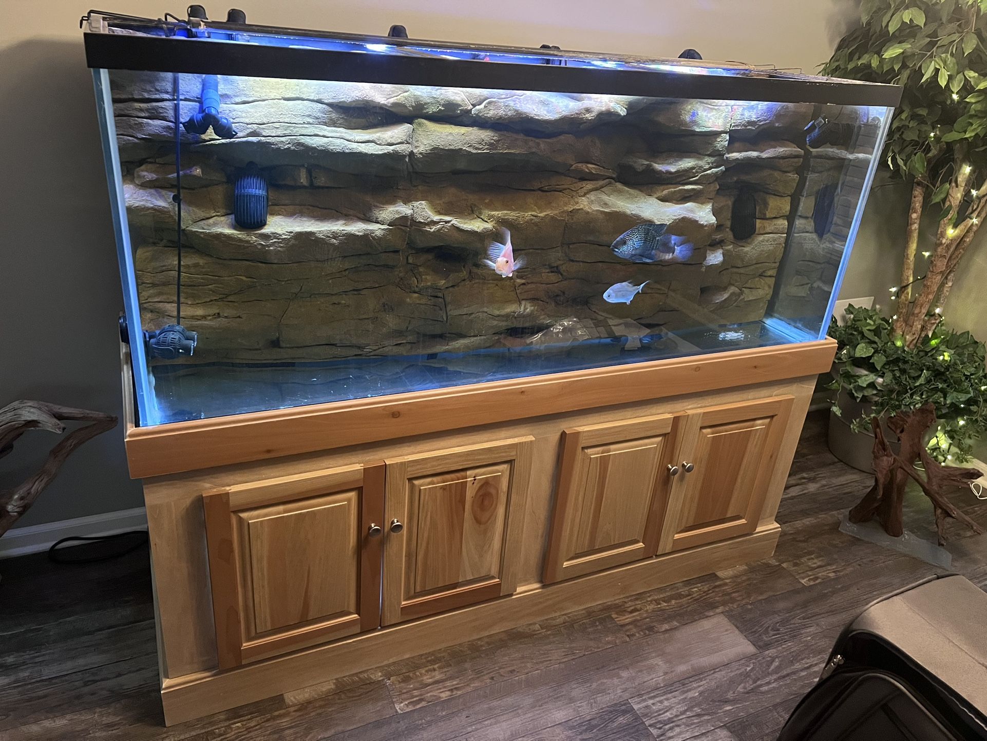 220 Gallon Aquarium