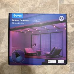 Smart Outdoor String Lights 96ft 