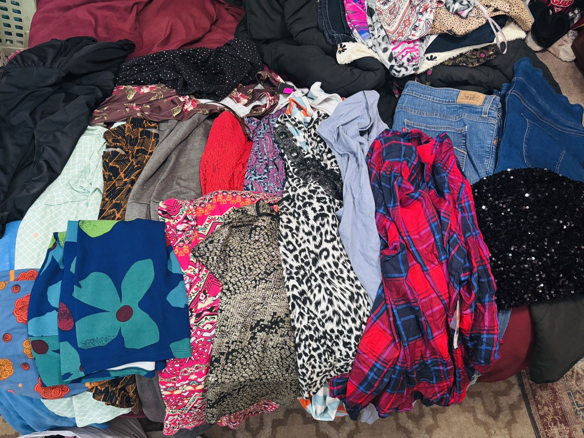 Women’s Plus Size Clothing lot 