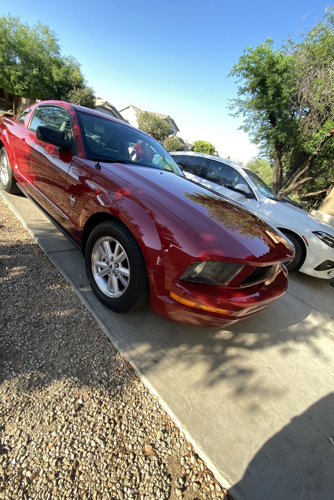 2009 Ford Mustang