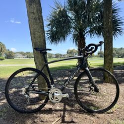 Full Carbon Specialized Roubaix
