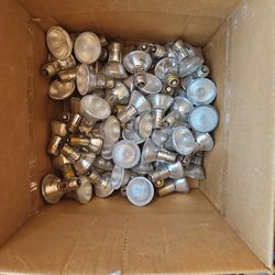 Mini 50 Watt Flood Bulbs 