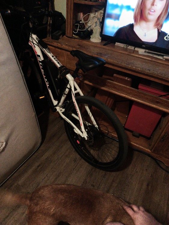 E Bike