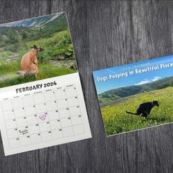 Dogs Pooping In Beautiful Places 2024 Calender