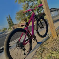 La Plaga Bike 27.5