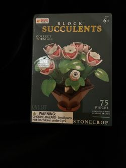 Block Tech Block Succulents