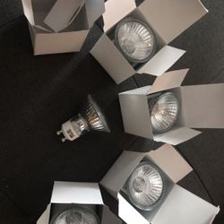 12v GU10+c Halogen Bulbs (set Of 5)  (not For 110 Wiring)