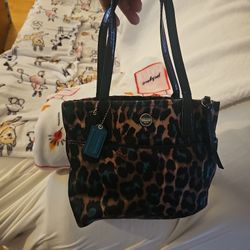 Leoprd Coach 75 Mint Blk Coach