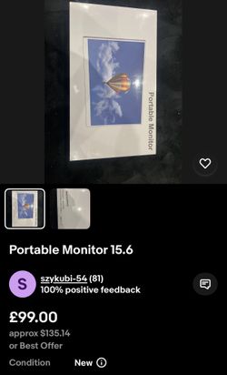 Portable Monitor 18.5 inch