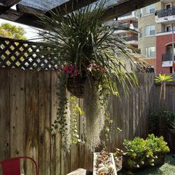 Large Hanging Planter