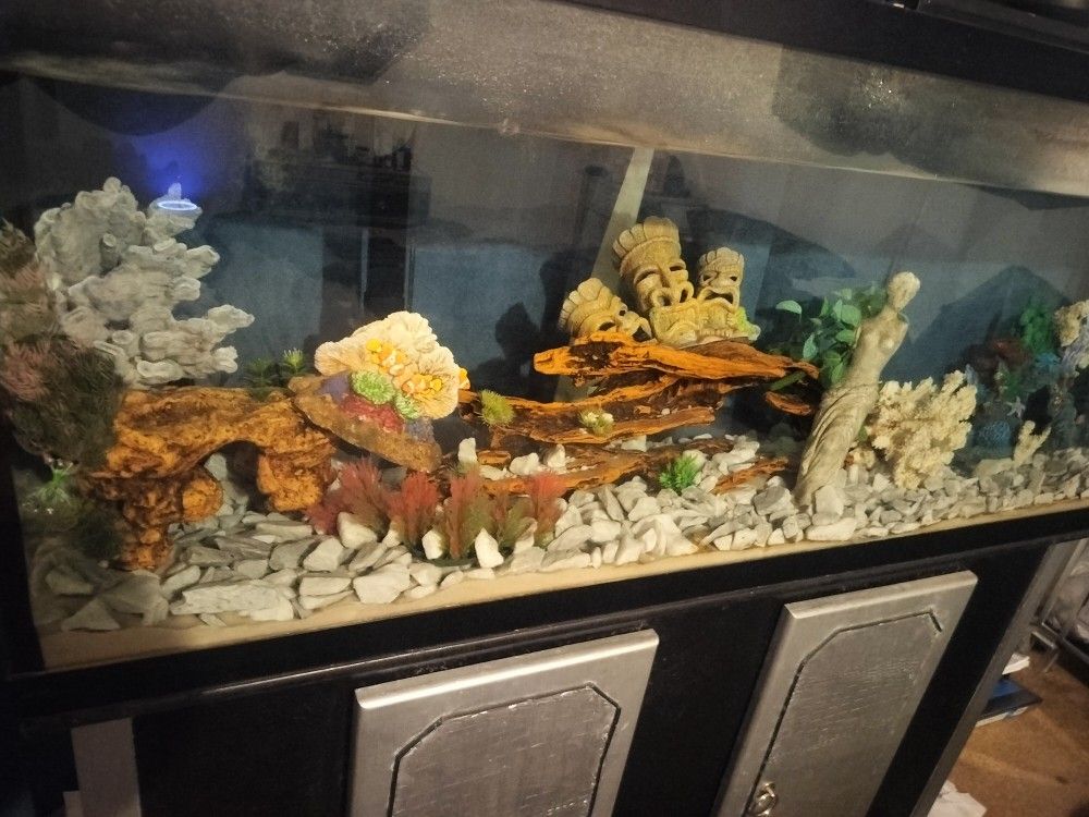 Fish Tank