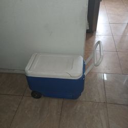 Kooler