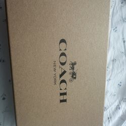 Reversible coach belt