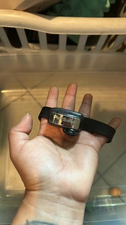 Dog bark collar