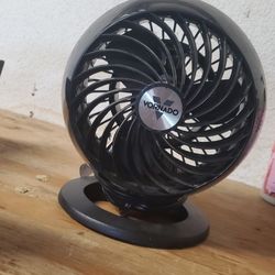 Fan