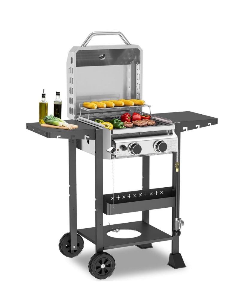 2-Burner Propane Gas BBQ Grill