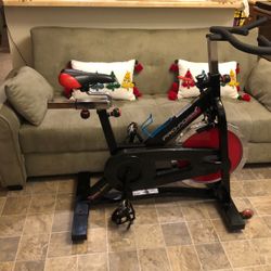 Great Pro Workout Stand In Bike $100 Obo. 