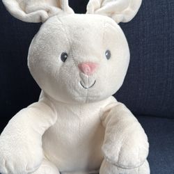 Gund Baby The Animated Blush Bunny
