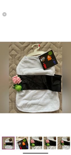 🆕Halloween Pet Costume