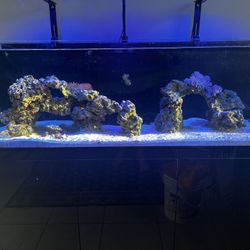 100 Gal Custom Reef Tank