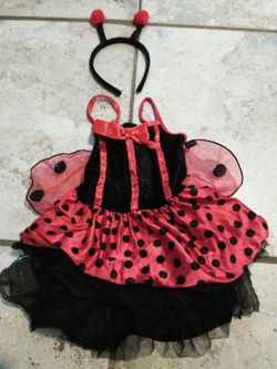 Lady bug dress, wings and headband. Child size XS (4-6).