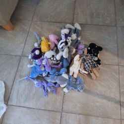 Teddy Bears  15 for $7