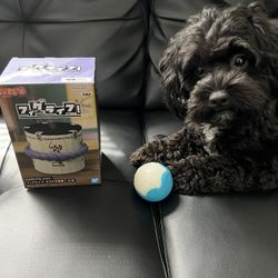 Banpresto Naruto Sasuke Uchiha Boxed Collectible Figure