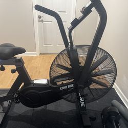 Rogue echo bike