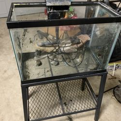 20 gallon fish tank setup