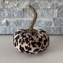 Leopard velvet pumpkin