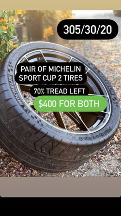 Michelin sport cup 2