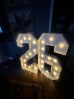 4 foot Light up numbers