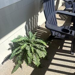 Free Fake Plant 