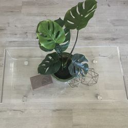Acrylic Coffee Table With Wheels