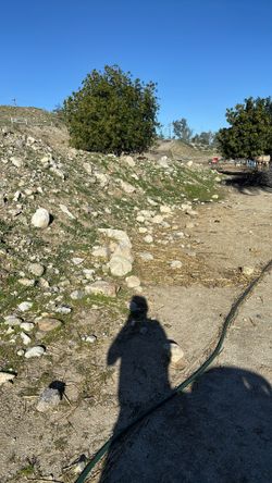 Rocks
