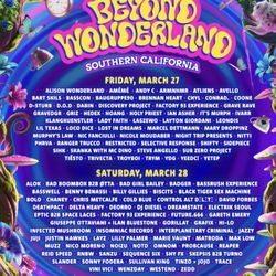 Beyond Wonderland 
