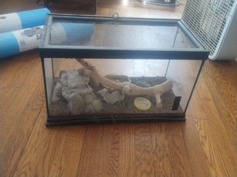 Terrarium